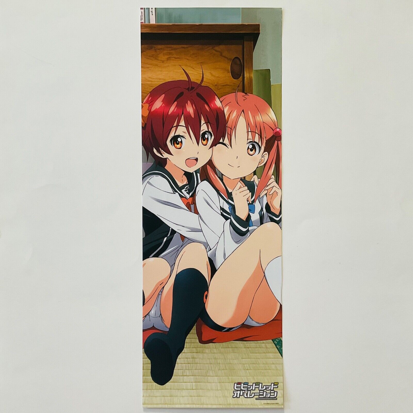Vividred Operation Akane Isshiki & Momo Isshiki Stick Poster Rare Anime Japan