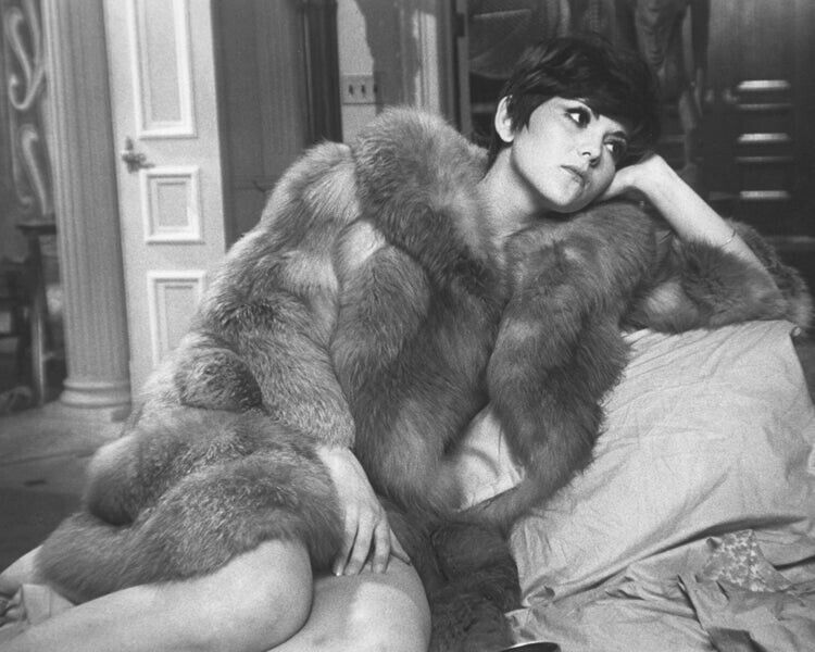 Brenda Vaccaro seductive pose in fur coat Midnight Cowboy 8x10 Photo
