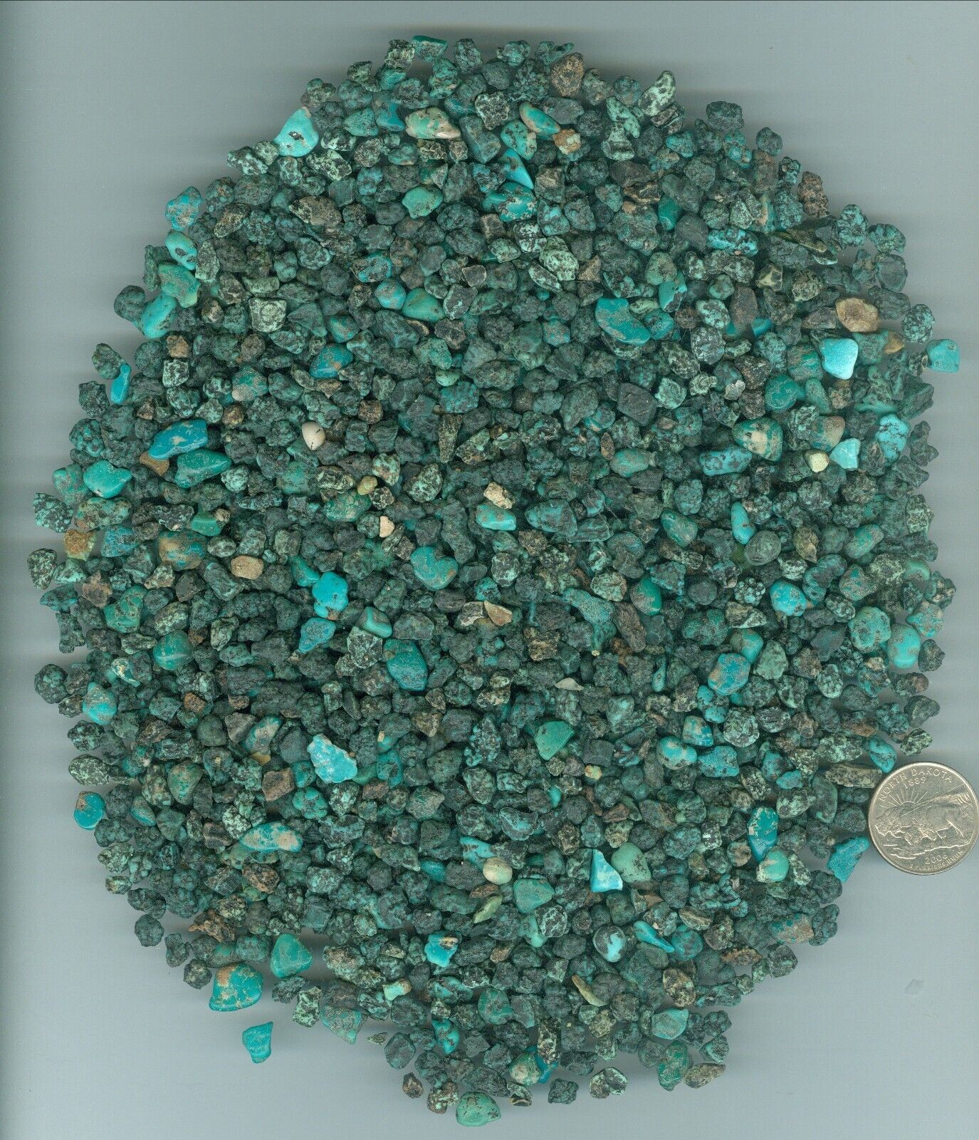 Stabilized Turquoise Rough 253 grams of American Fox Turquoise Cutting rough