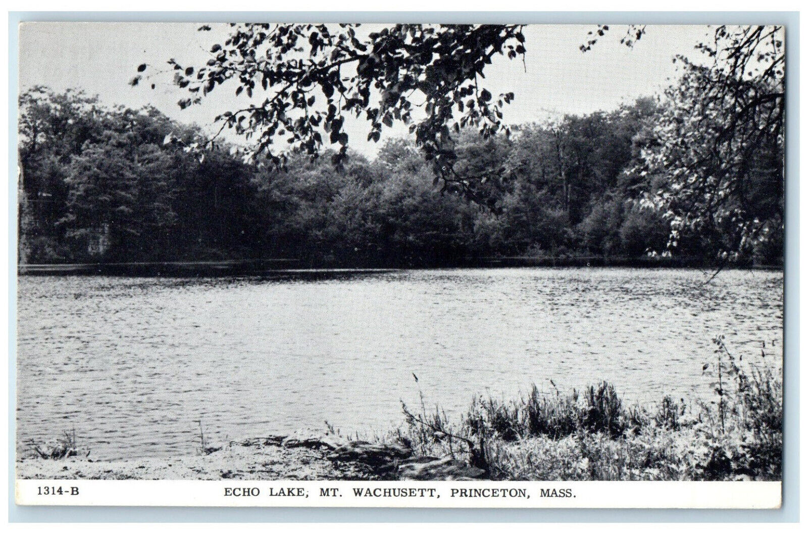 1955 Echo Lake Mt. Wachusett Princeton Massachusetts MA Vintage Postcard