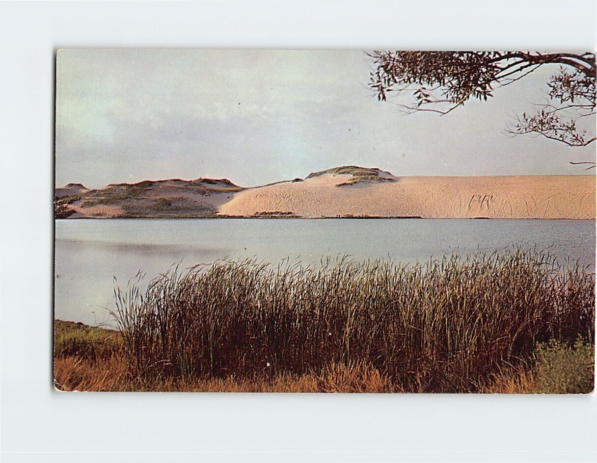 Postcard San Dunes on Cape Cod Massachusetts USA