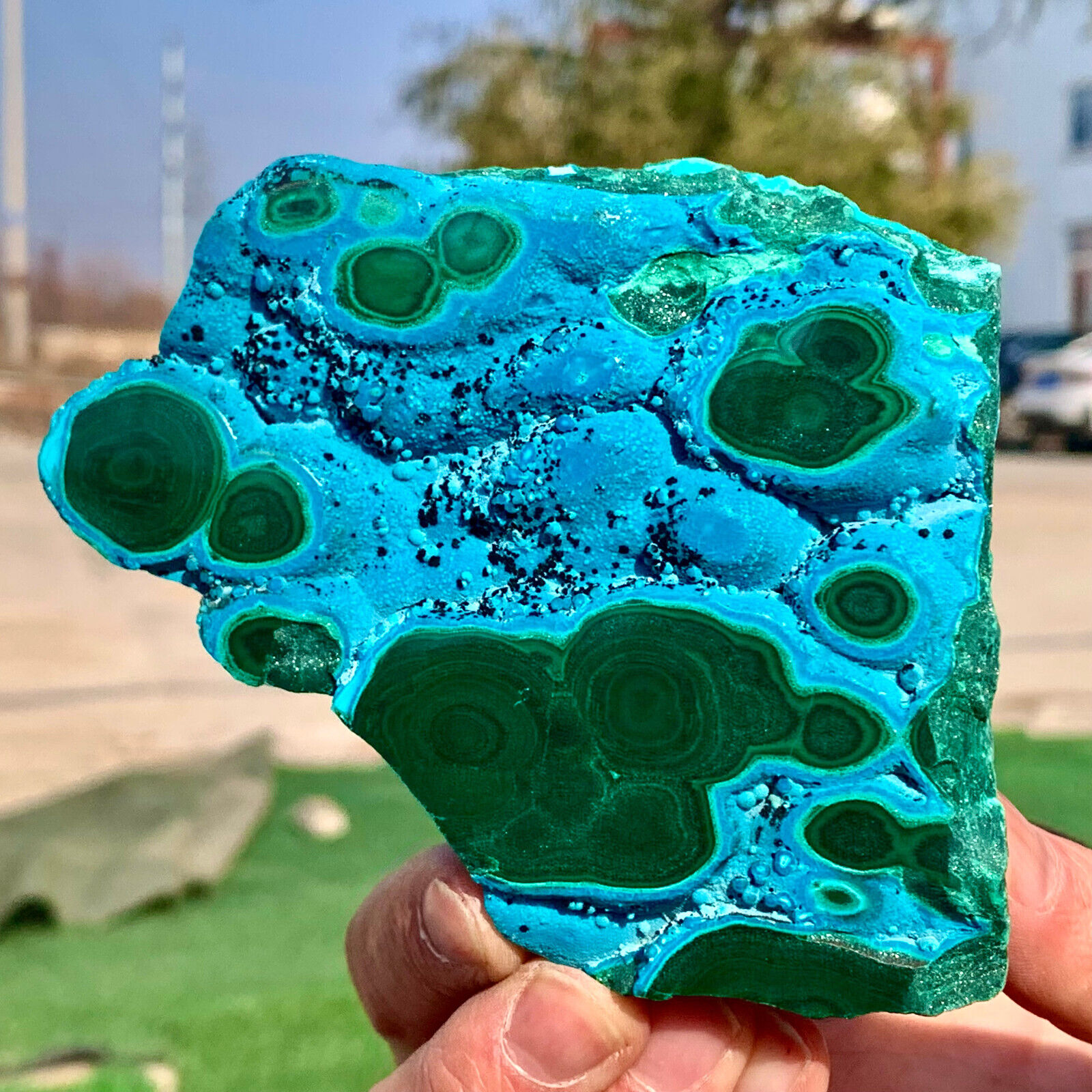 467G Natural Chrysocolla/Malachite transparent cluster rough mineral sample