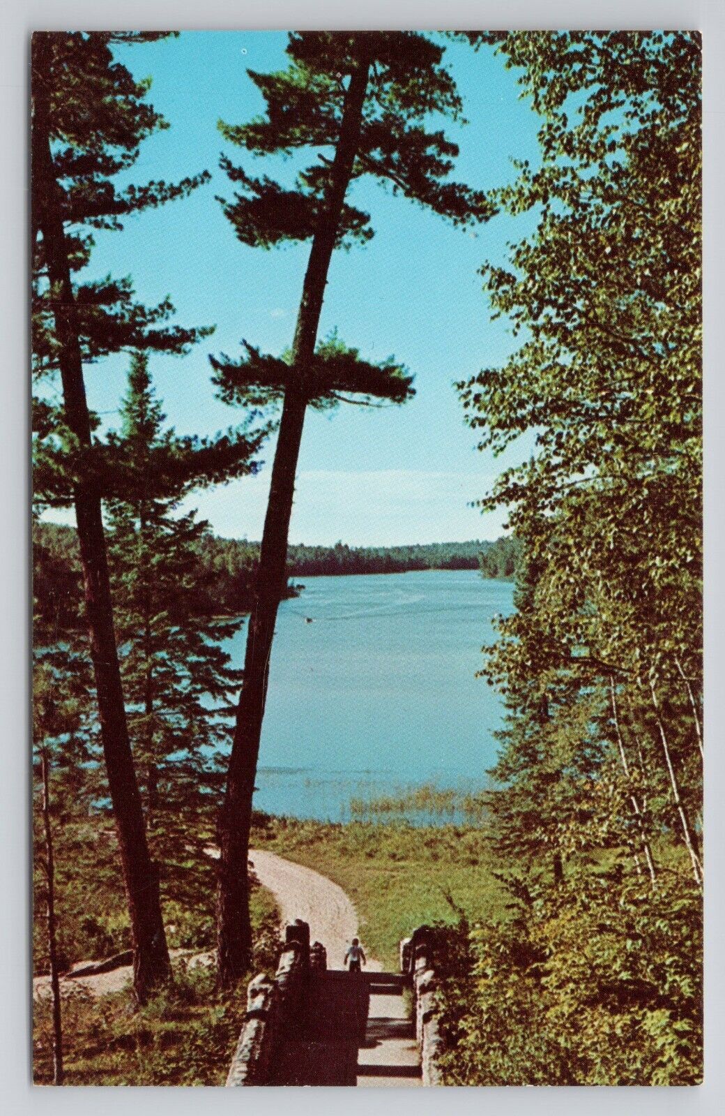 Postcard Minnesota Land Of 10000 Lakes