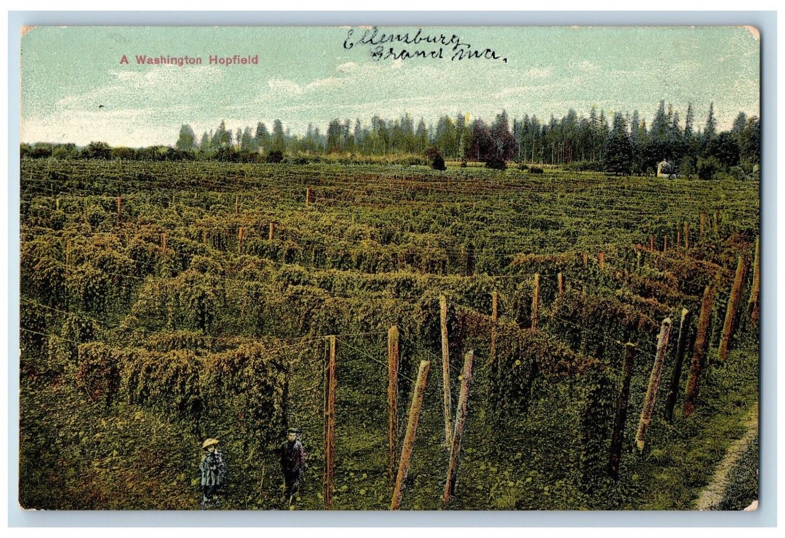 Ellensburg Washington WA Postcard Hopfield Exterior Field 1909 Vintage Antique
