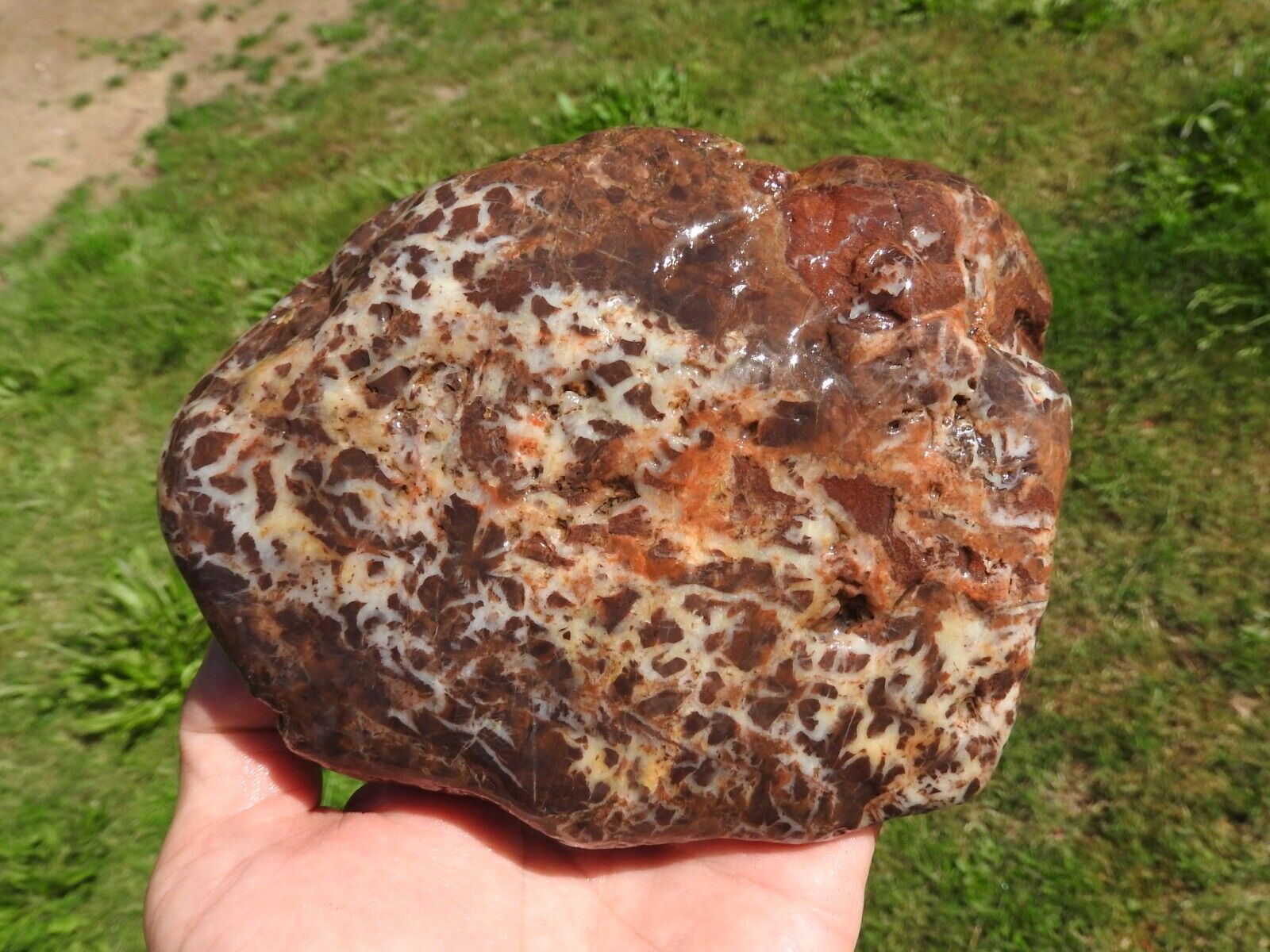 Natural Whole Water-Washed JASPER Nodule 2lbs+ BRECCIATED Agate Bands, COLORFUL
