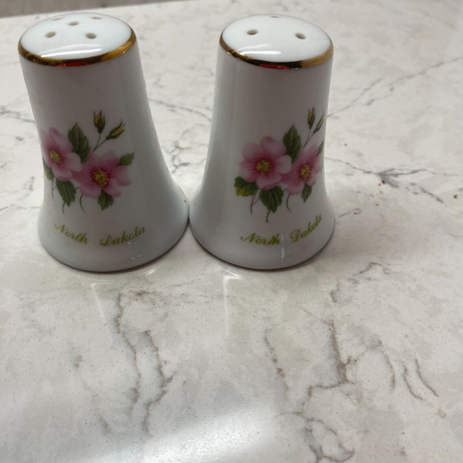 Vintage Audrey Fine China Lansford North Dakota Ceramic Salt & Pepper Shakers