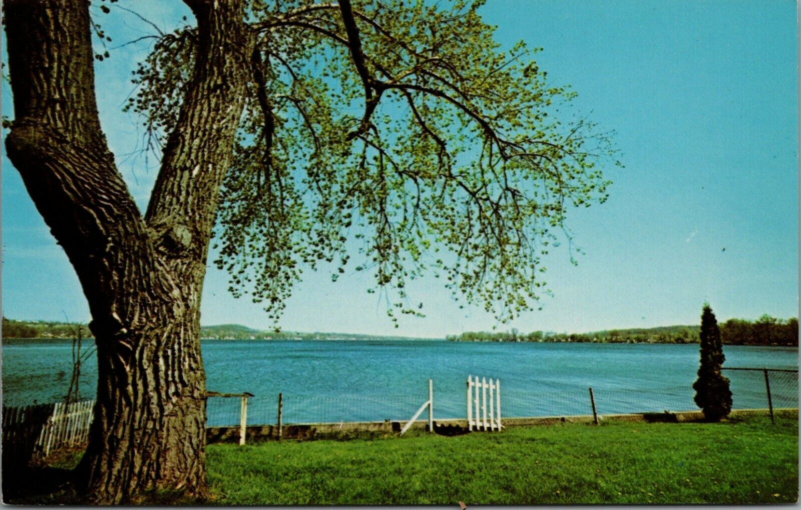 Vintage Hemlock Lake Hemlock New York Postcard D149