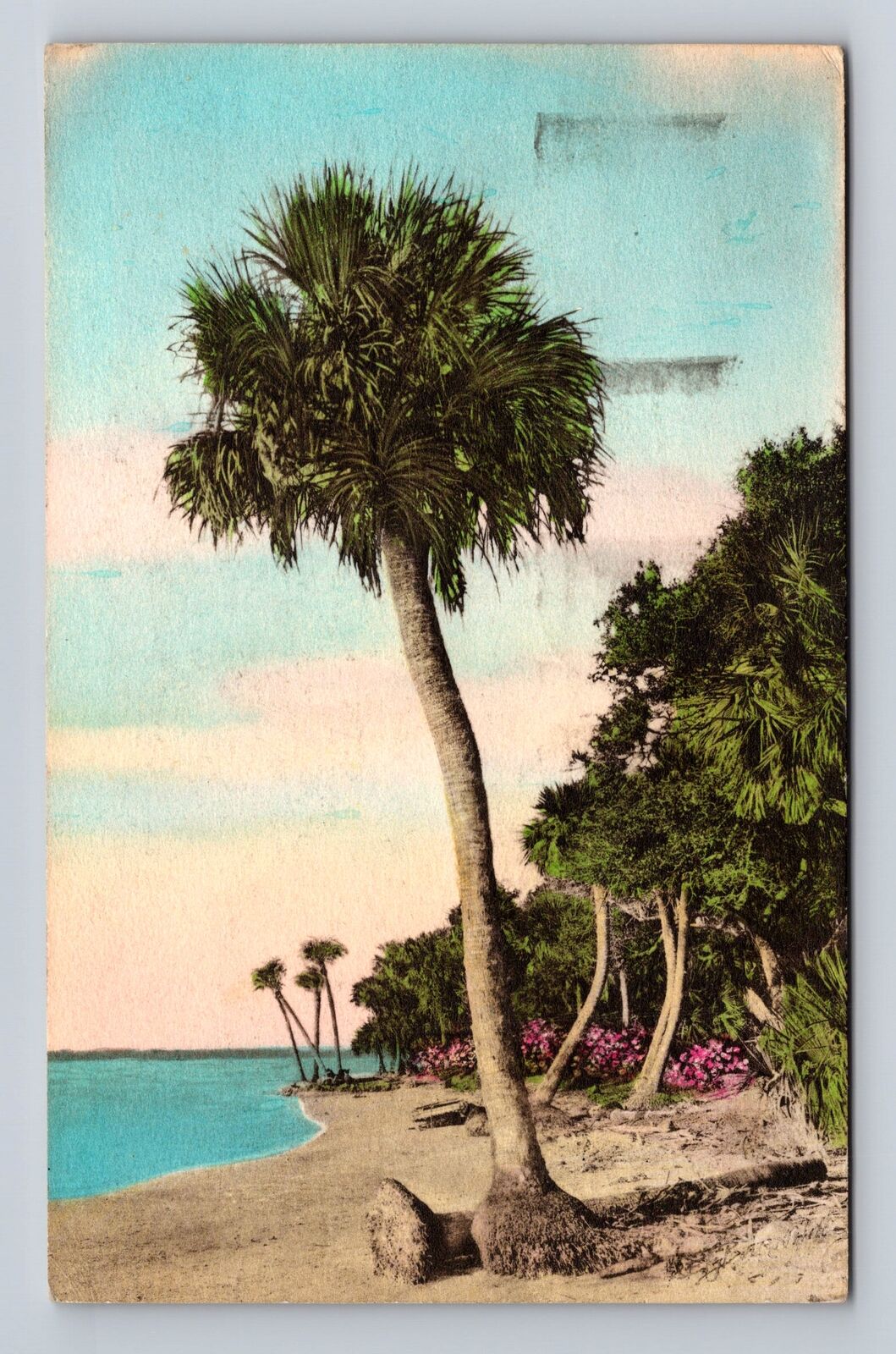 St Petersburg FL-Florida, Jungle Shore, Boca Ceiga Bay, Vintage c1947 Postcard