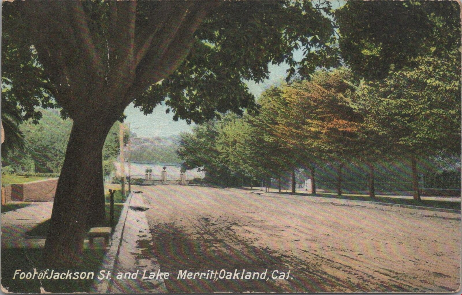 Postcard Foot of Jackson St and Lake Merritt Oakland CA 1910