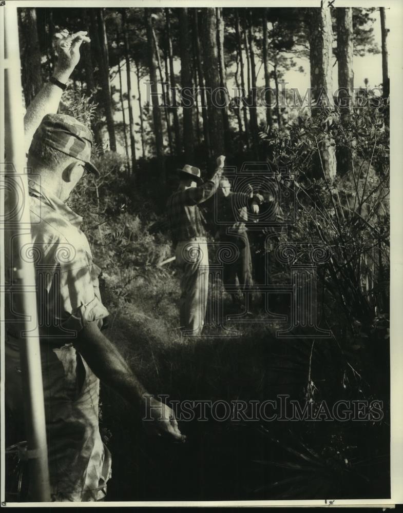 1960 Press Photo Mistnet attached in-between poles in Dauphin Island woods
