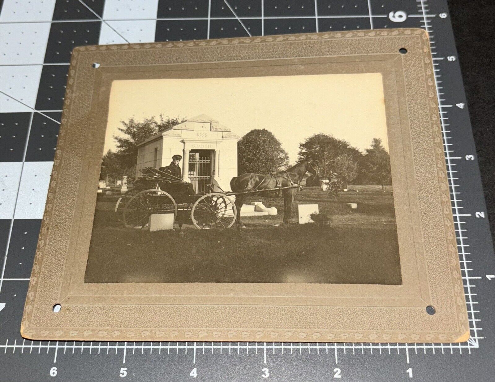 1900s Mansfield OH Ohio CEMETERY Sharpless E Bird Wagon Antique Snapshot PHOTO