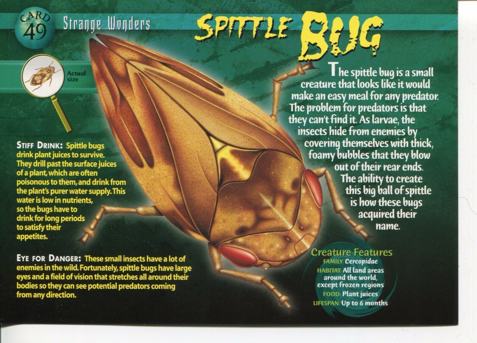 Weird N’ Wild Creatures Strange Wonders Card 49 # Spittle Bug # LC6