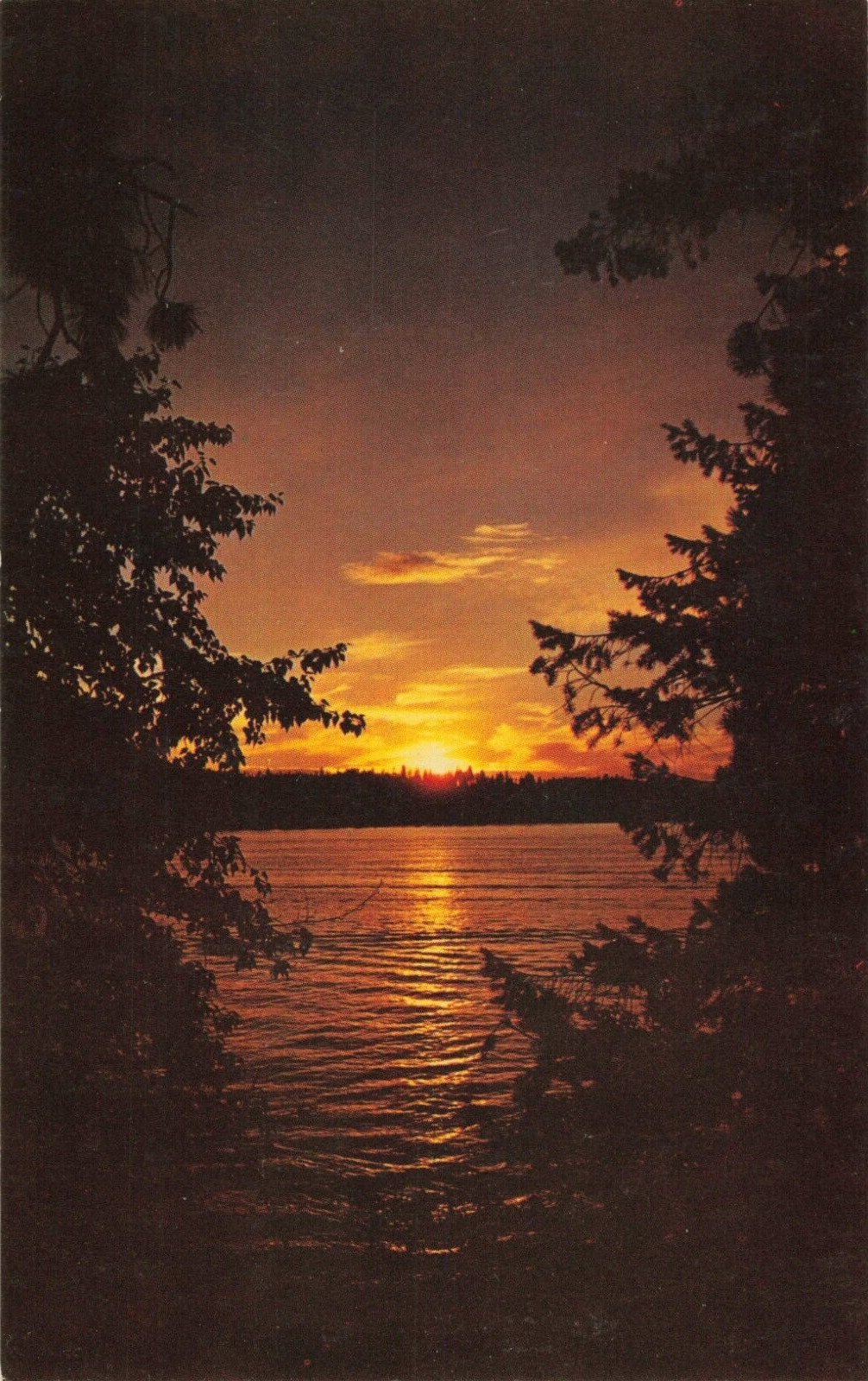 Concord NH New Hampshire, Sunset, Lake, Trees, Vintage Postcard