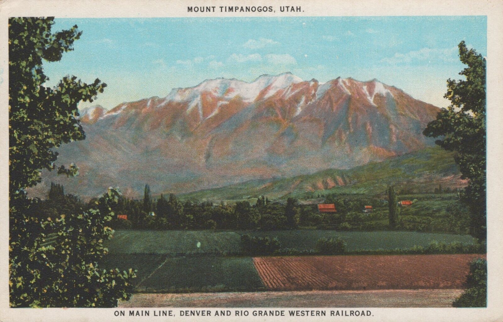 Mount Timpanogos Utah Rio Grande Railroad Whiteborder Vintage Postcard