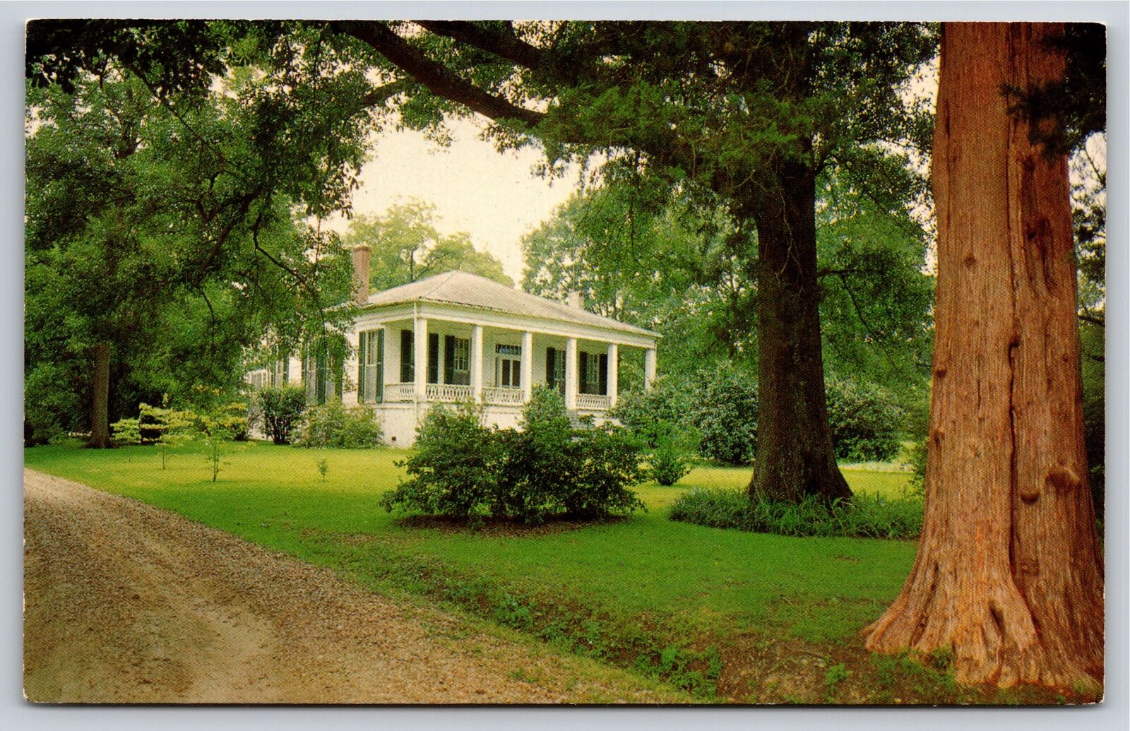 Port Gibson Mississippi~Idlewild Home In Forest~Vintage Postcard