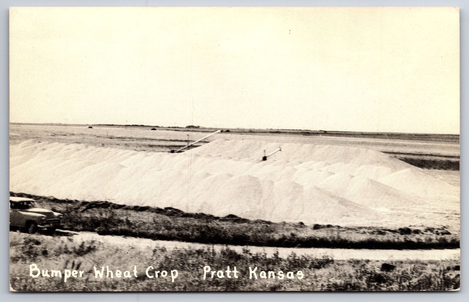 Pratt Kansas~Bumper Wheat Crop~Farming~1950s B&W Postcard