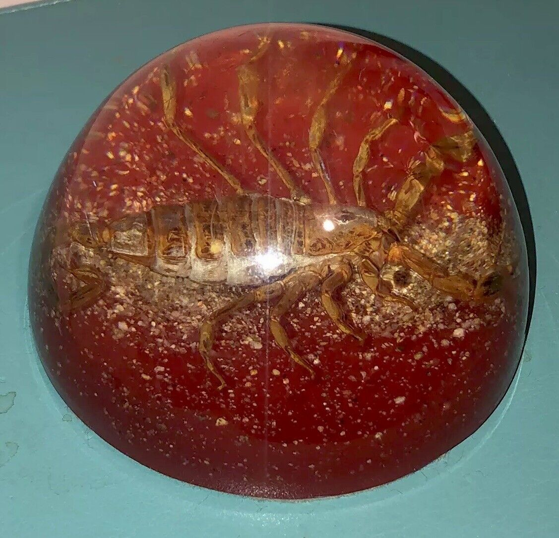 Vintage Large Lucite Paper Weight Real Scorpion ￼fun