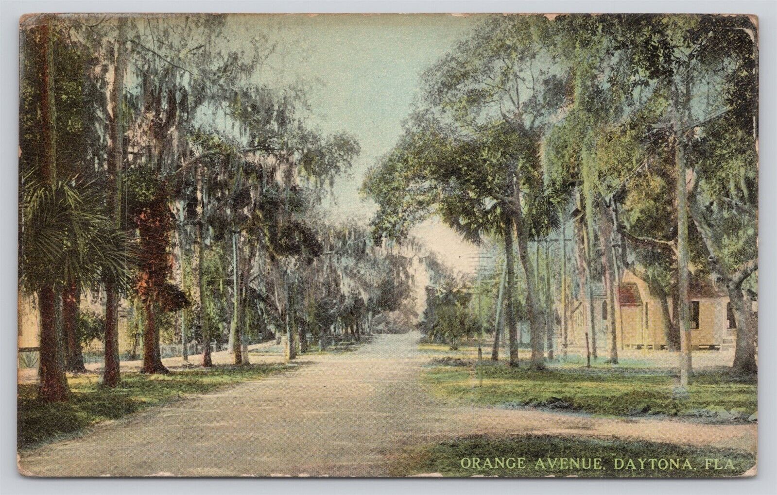 Postcard FL Daytona Orange Avenue