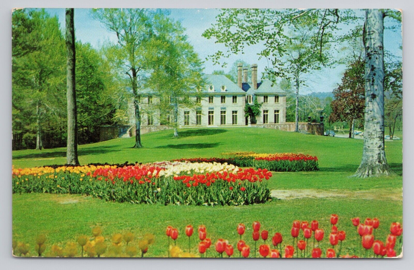 Postcard Tulips Kingwood Center Mansfield Ohio