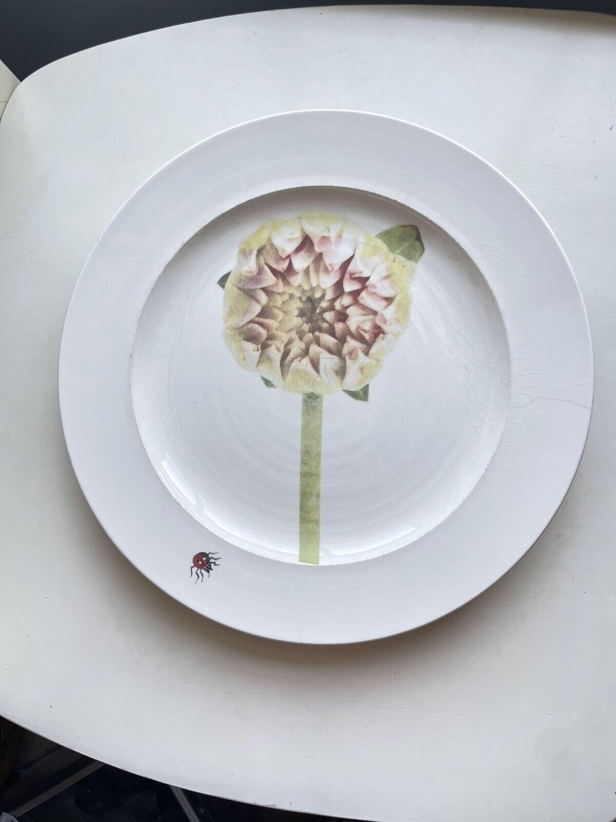 Christopher Spitzmiller Flower & Butterfly 11” Plate~READ