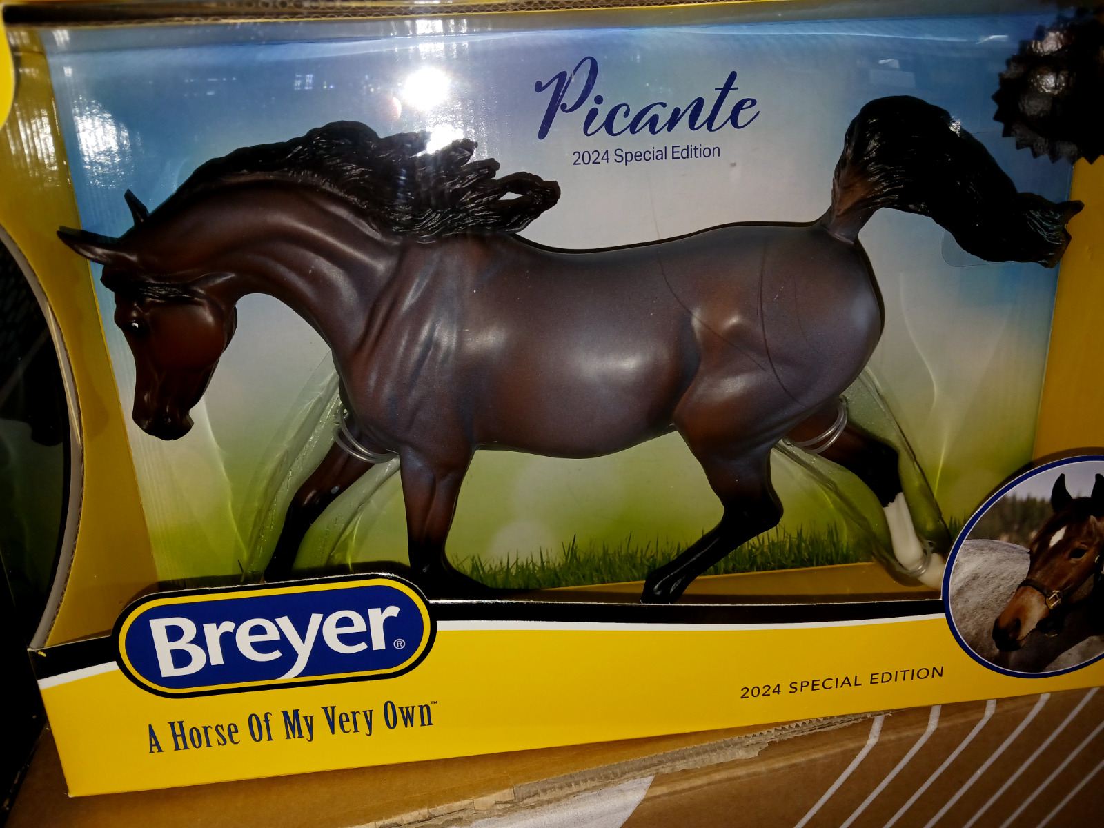 Breyer #B-TR-10018 Picante Spring 2024 Limited Edition  **NEW** 