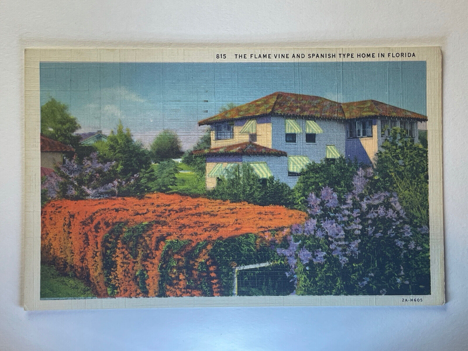 Florida, FL, The Flame Vine, 1900’s Vintage Postcard Spanish Type Home PA1