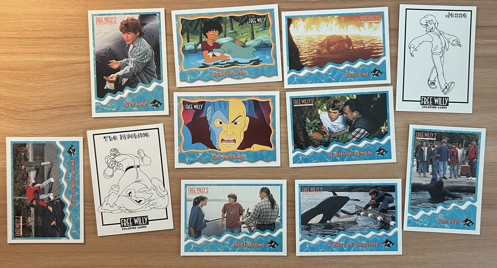 Lot (11) Free Willy 1995 Skybox 