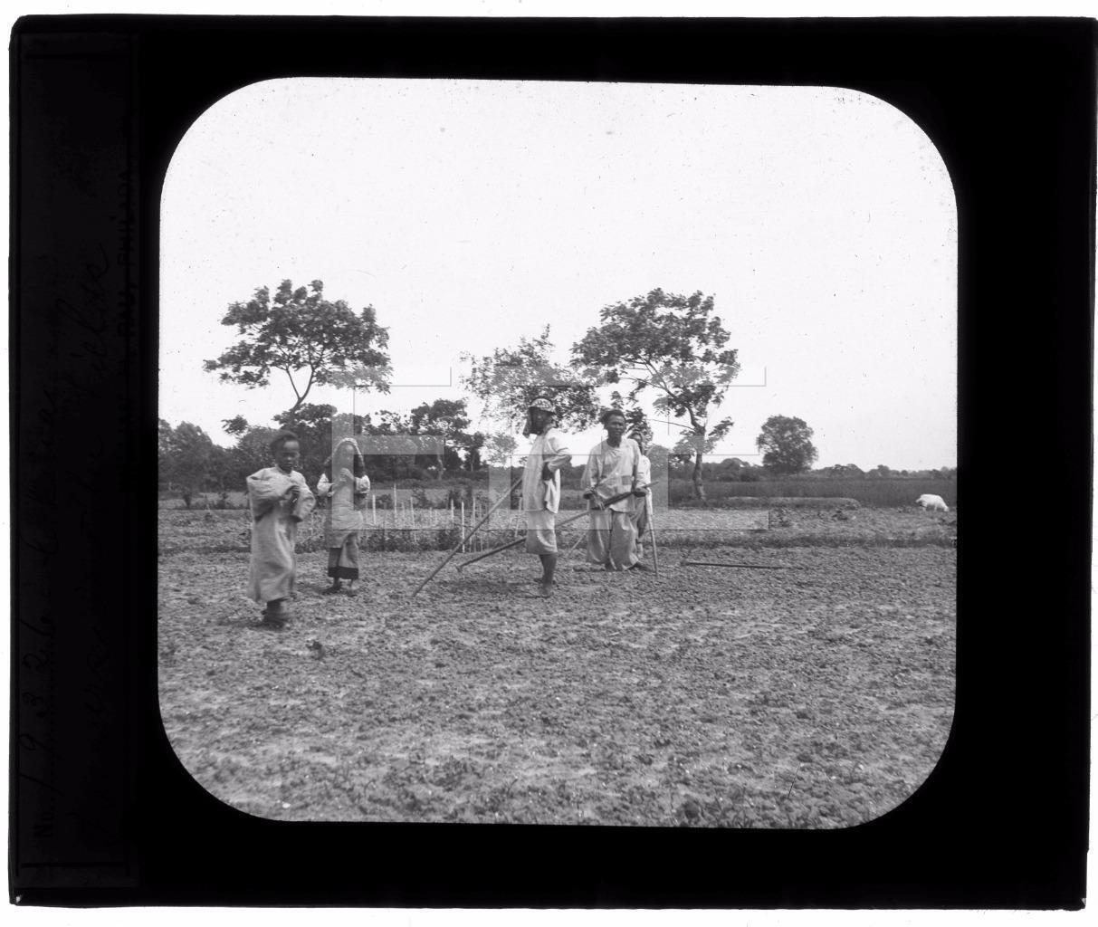 1929 Chinese Farmers in the Field China OLD GLASS PHOTO MAGIC LANTERN SLIDE 422A