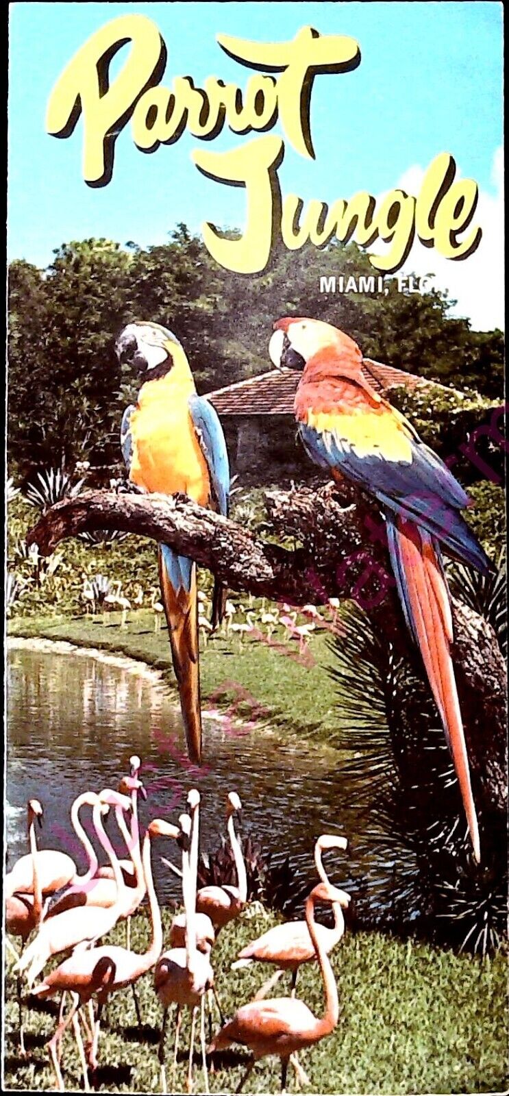 Vintage Travel Brochure Parrot Jungle Miami Florida Parrot Circus Macaws