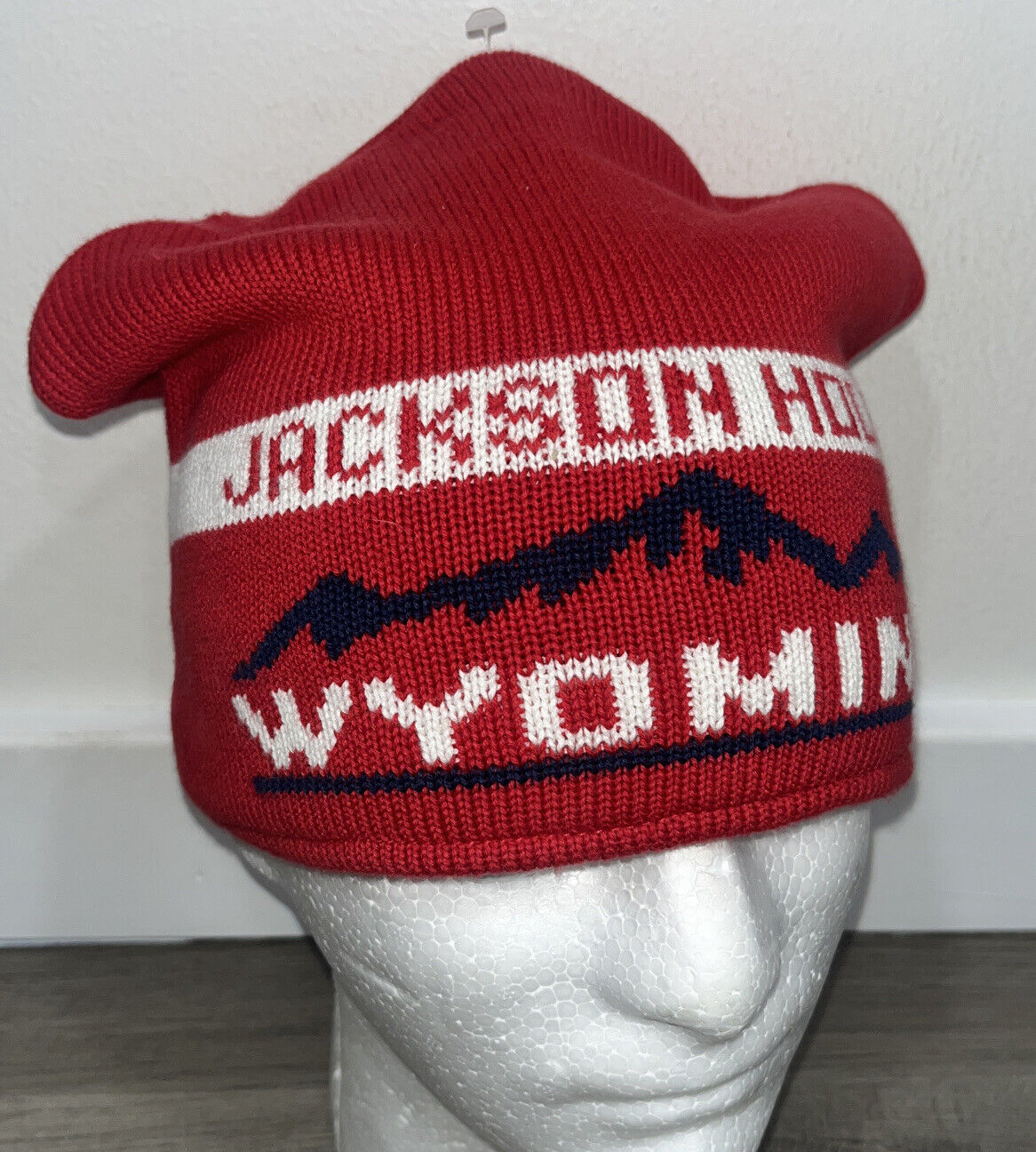 Jackson Hole Wyoming Wool Gap Kids Sz. Large Winter Knit Beanie Hat Red