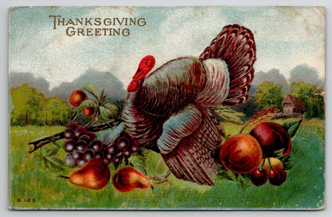 Thanksgiving Greetings Turkey With Fruit 1912 Red Cross Santa Seal Postcard V22