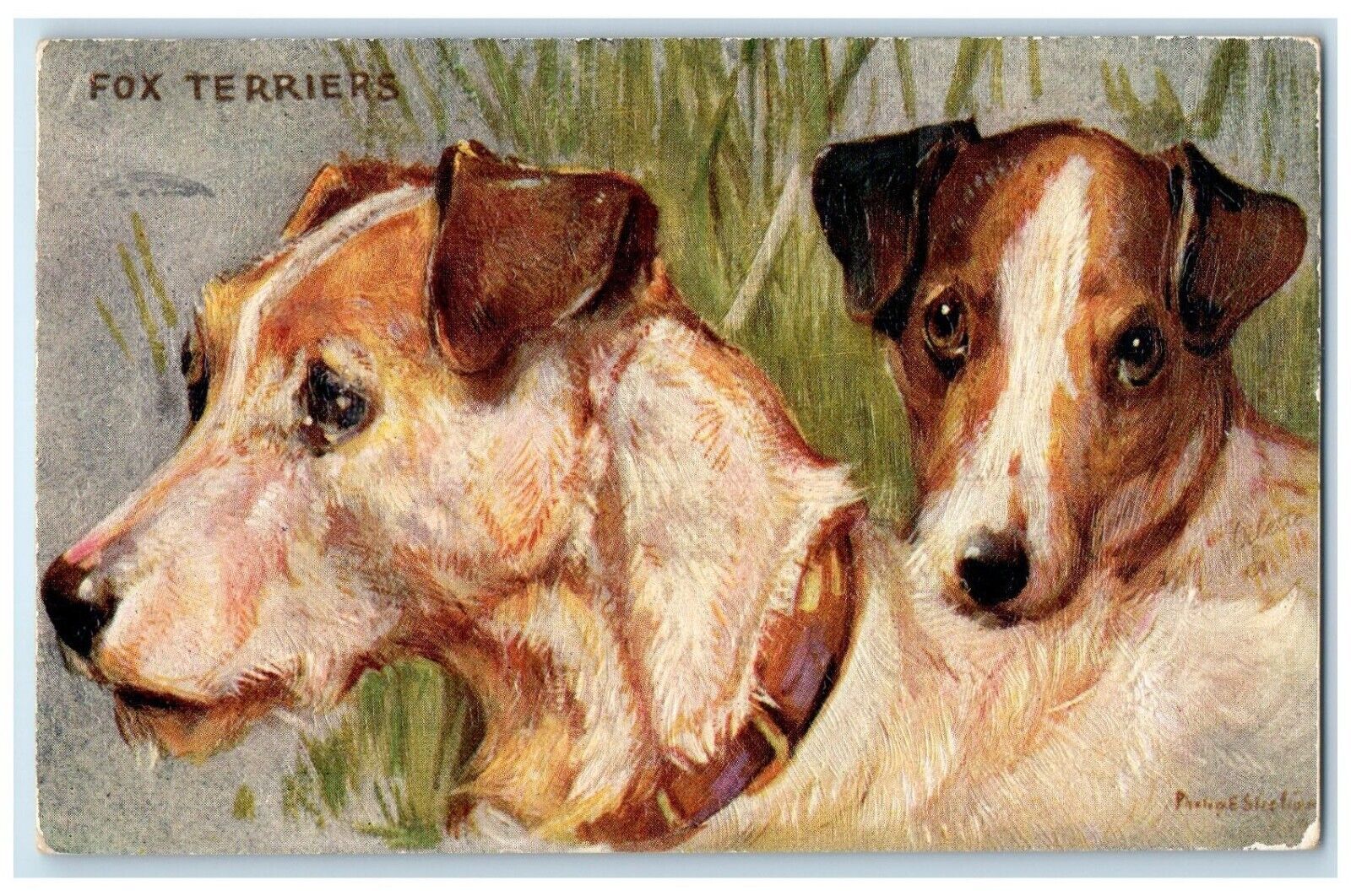 c1910\'s Fox Terriers Dog Animals Oilette Tuck\'s RPO Posted Antique Postcard