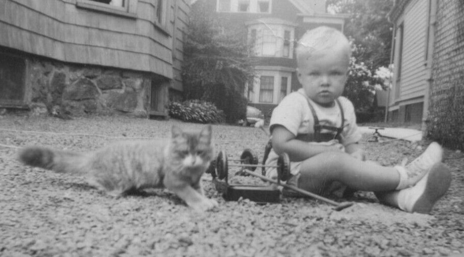 5D Photograph *Creased* Portrait Boy Toy Wagon Pet Kitty Cat Kitten POV 1940\'s