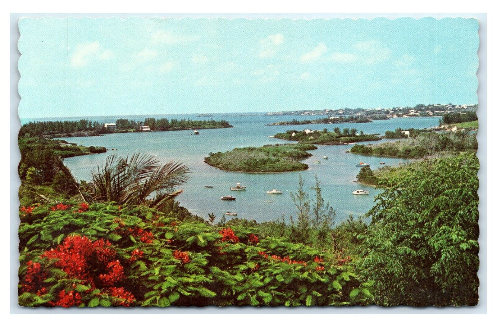 Postcard Ely\'s Harbour, Somerset from Wreck Hill, Bermuda  E10