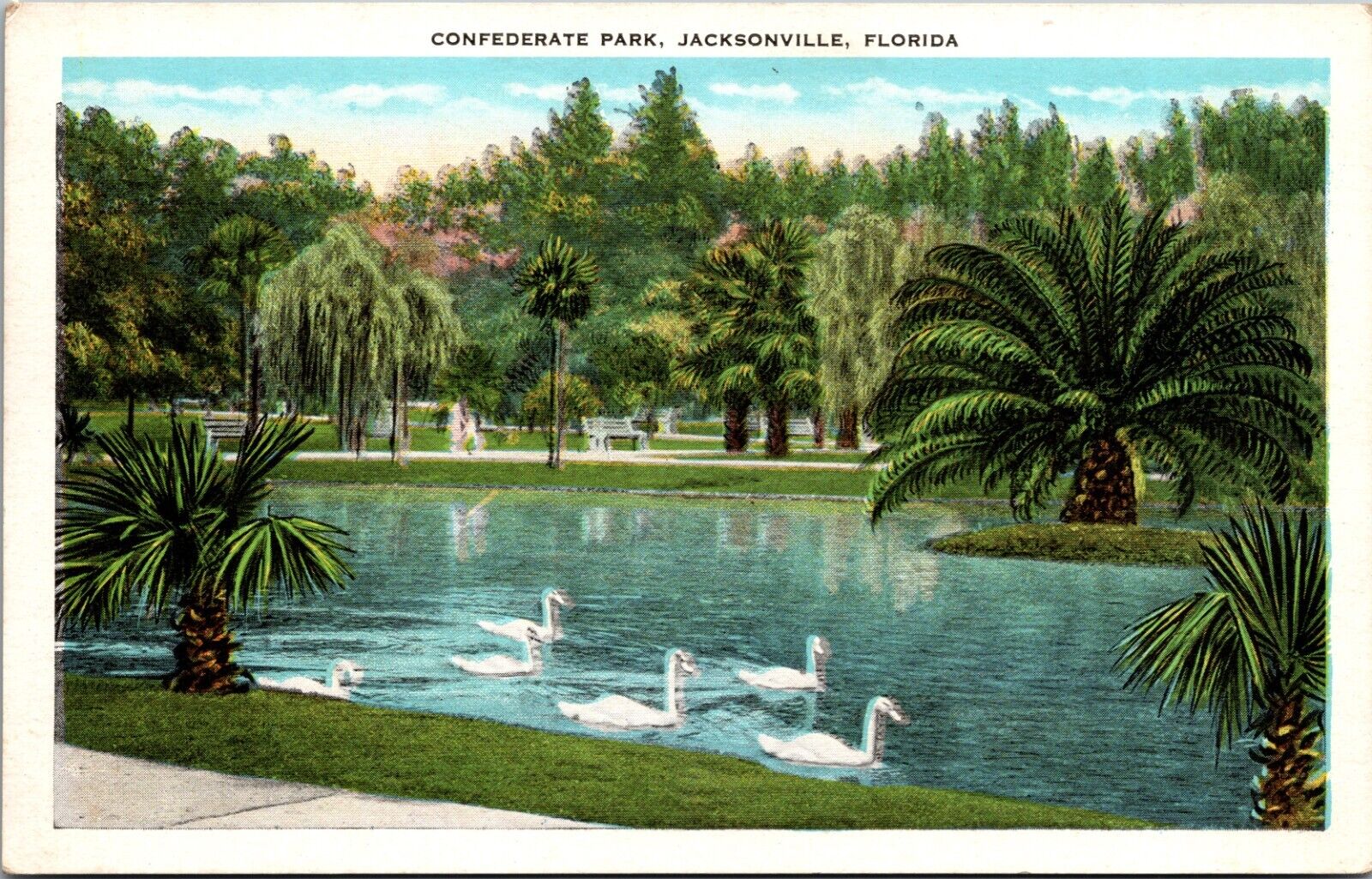 Jacksonville, FL Florida Confederate Park, Swans on water.
