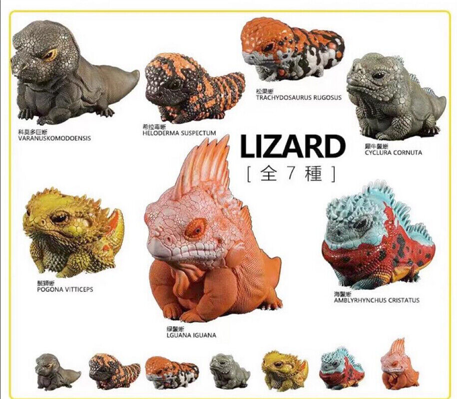 Lizard Kingdom Handmade Painted Model Animal Limited Sculpture 7PCS New In Stock