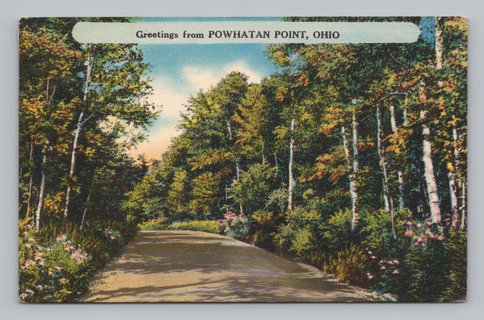Postcard Greetings from Powhatan Point Ohio c1959