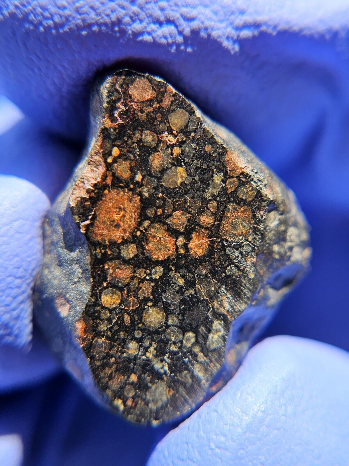 Meteorite**NWA Unclassified, CV3**5.329 gram, Carbonaceous Chondrite W/CAI\'s
