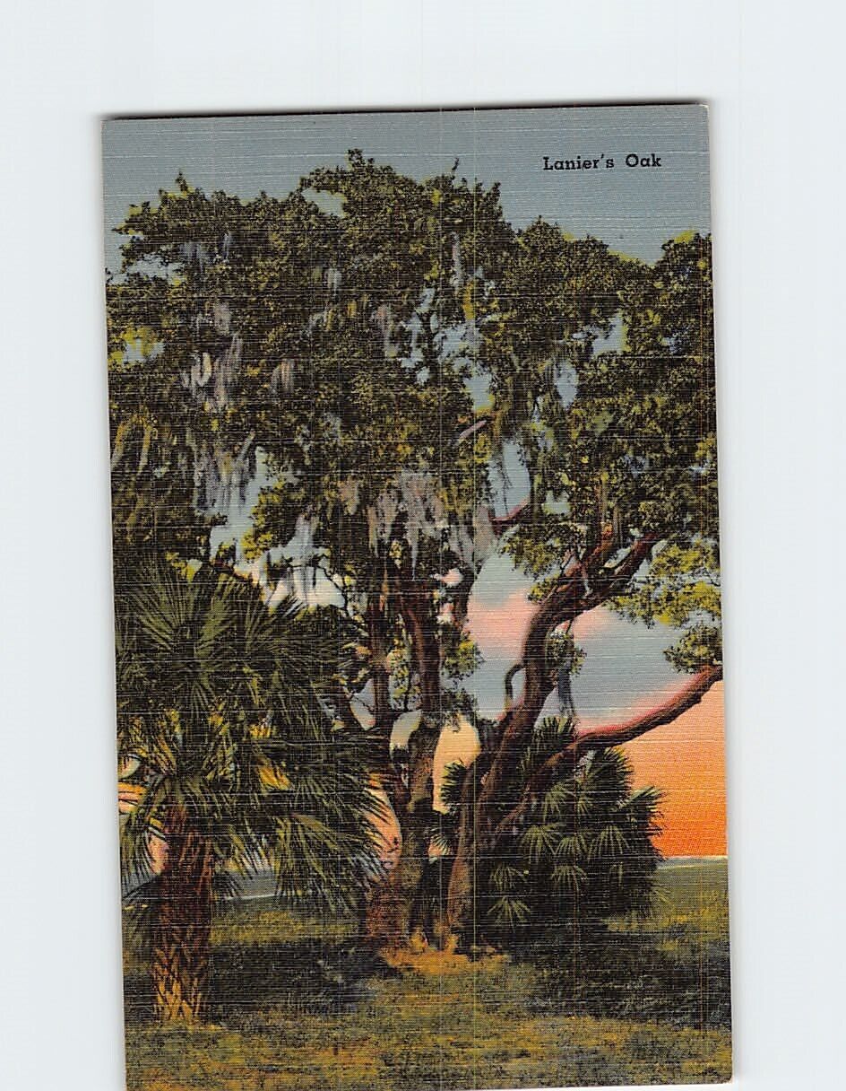 Postcard Lanier's Oak Sidney Lanier Georgia USA