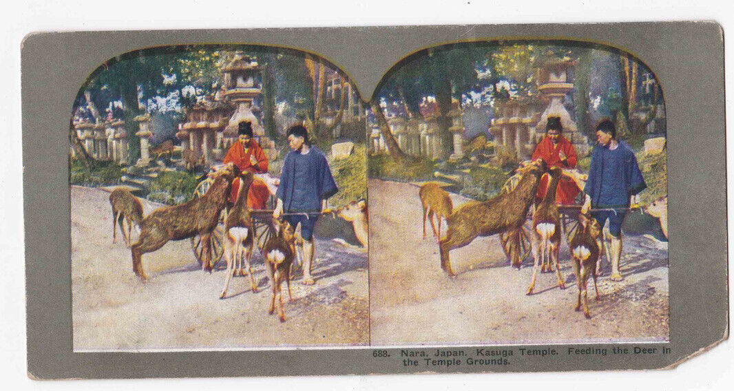 Antique 1904 Feeding Deer Kasuga Taisha Temple Nara Japan Stereo Card P293