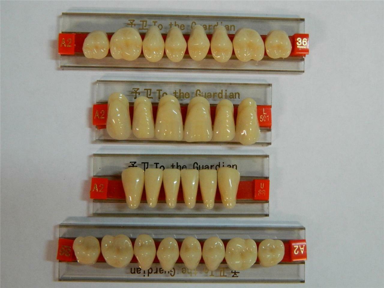 HALLOWEEN PROP - Full Set of Dental Quality Human Resin Teeth for Prop Building