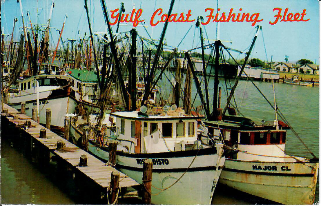 Gulf Coast Fishing Fleet Commercial Fish Brazos River Channel Vintage Postcard