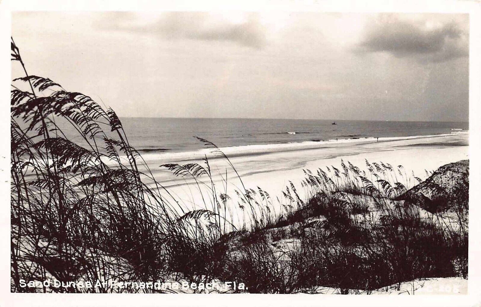 FL - 1950’s Florida Sand Dunes & Atlantic Ocean Fernandina Beach FLA - Nassau Co