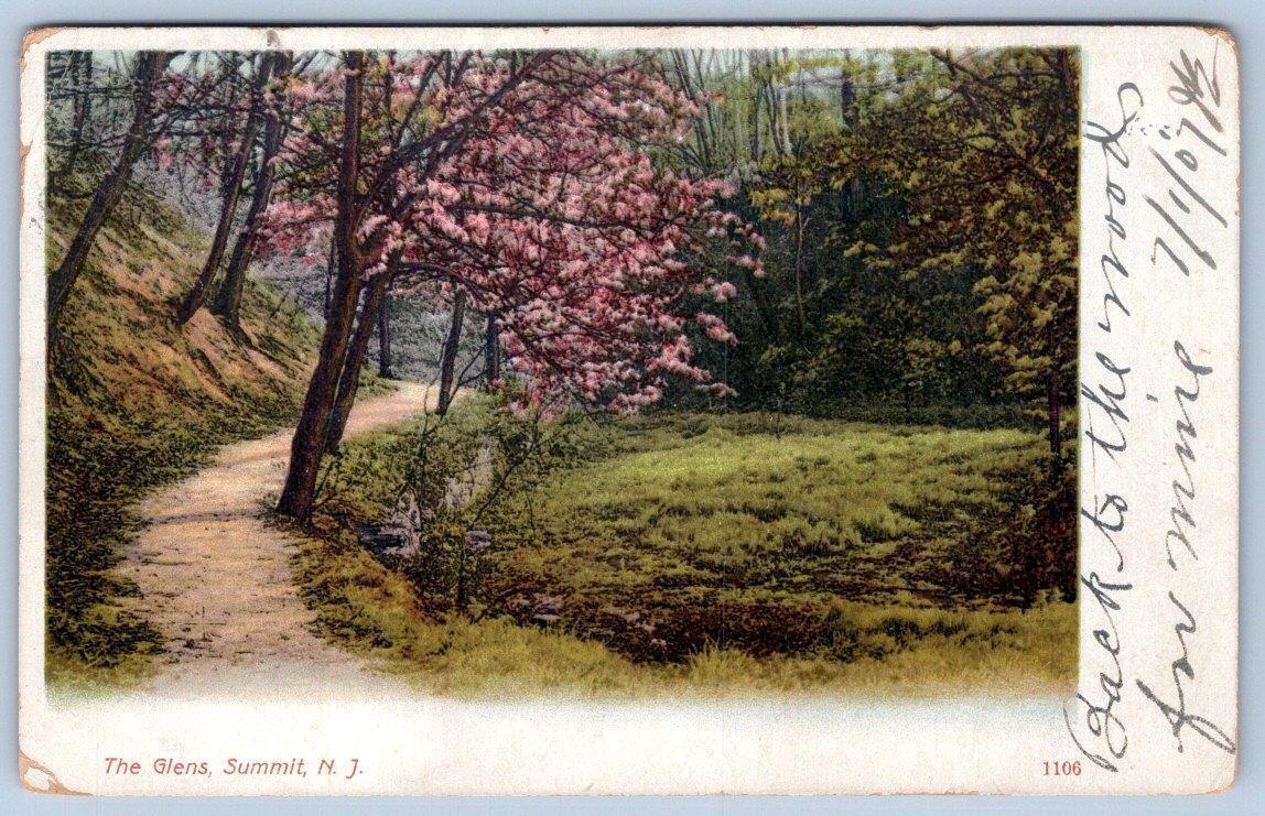 Pre-1907 THE GLENS*SUMMIT NEW JERSEY*NJ*FOREST SCENE*ANTIQUE POSTCARD