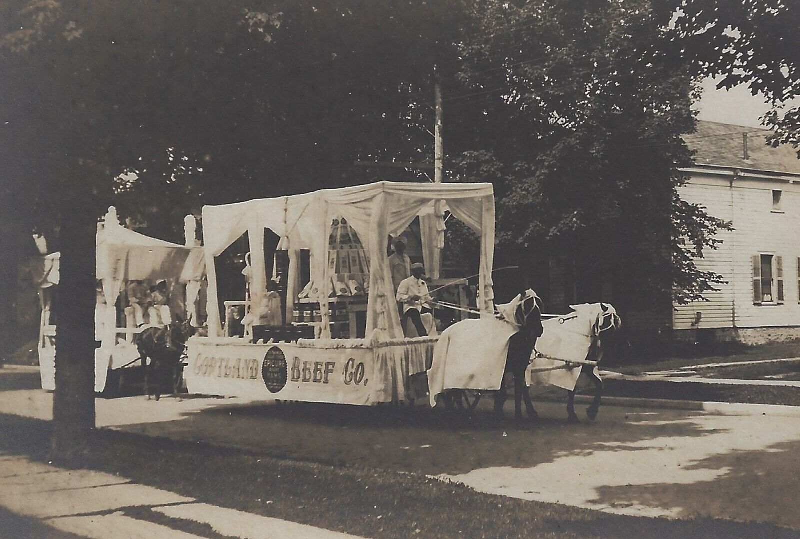 Cortland Beef NY Horse Drawn Parade Float Caparison Vintage RPPC Photo Postcard