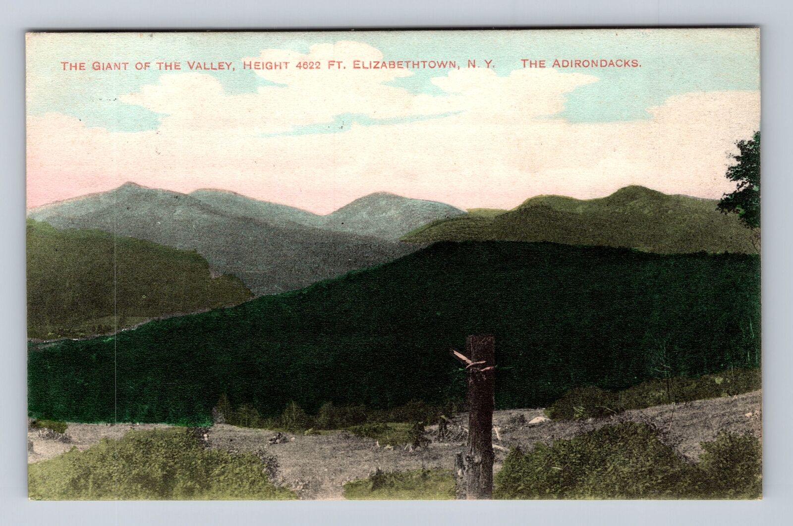 Elizabethtown NY-New York, Giant of the Valley, Adirondacks, Vintage Postcard