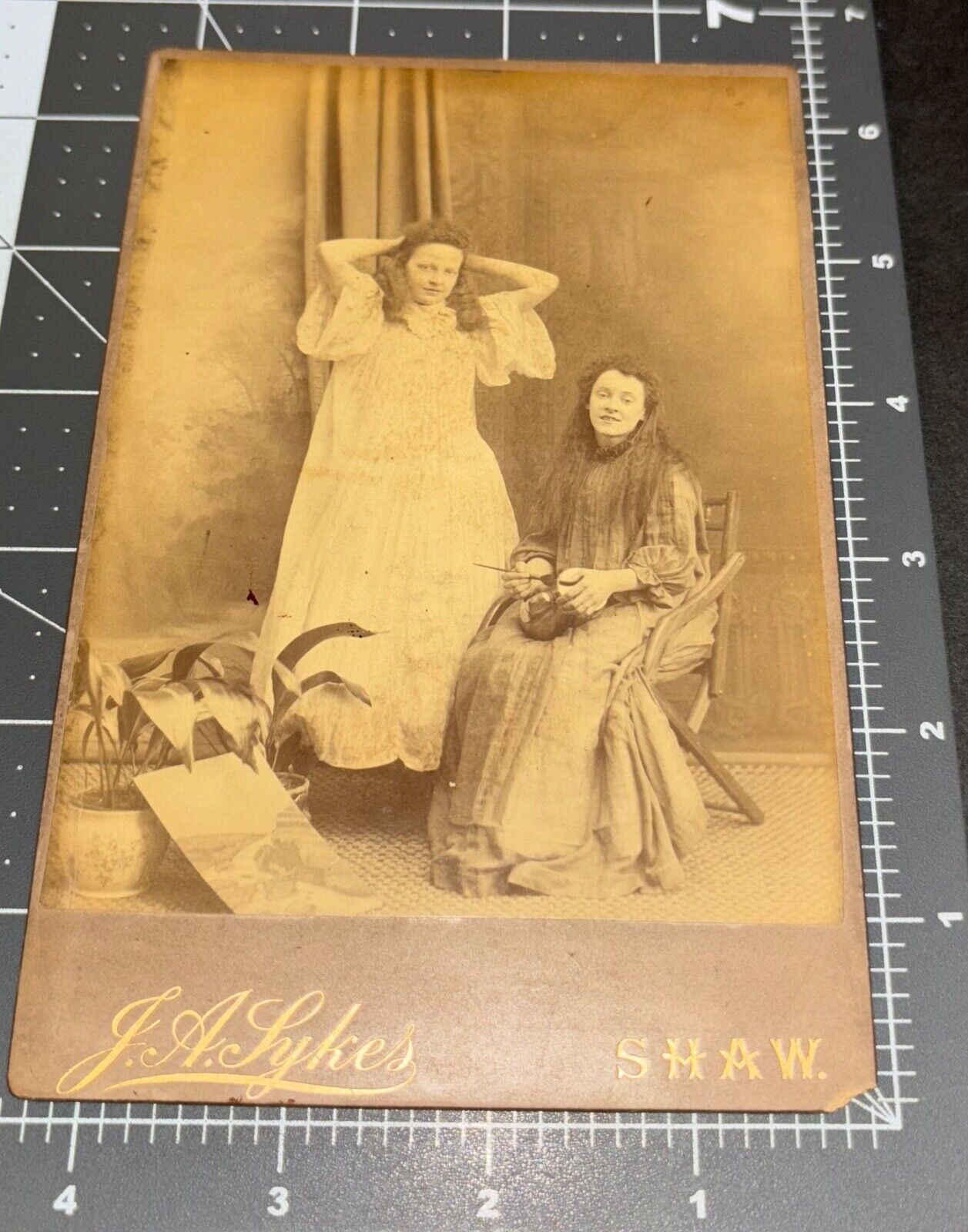 1880s Women PAINTER ? Stick in Hand Purse Long Hair Pick ? GOWN Antique PHOTO