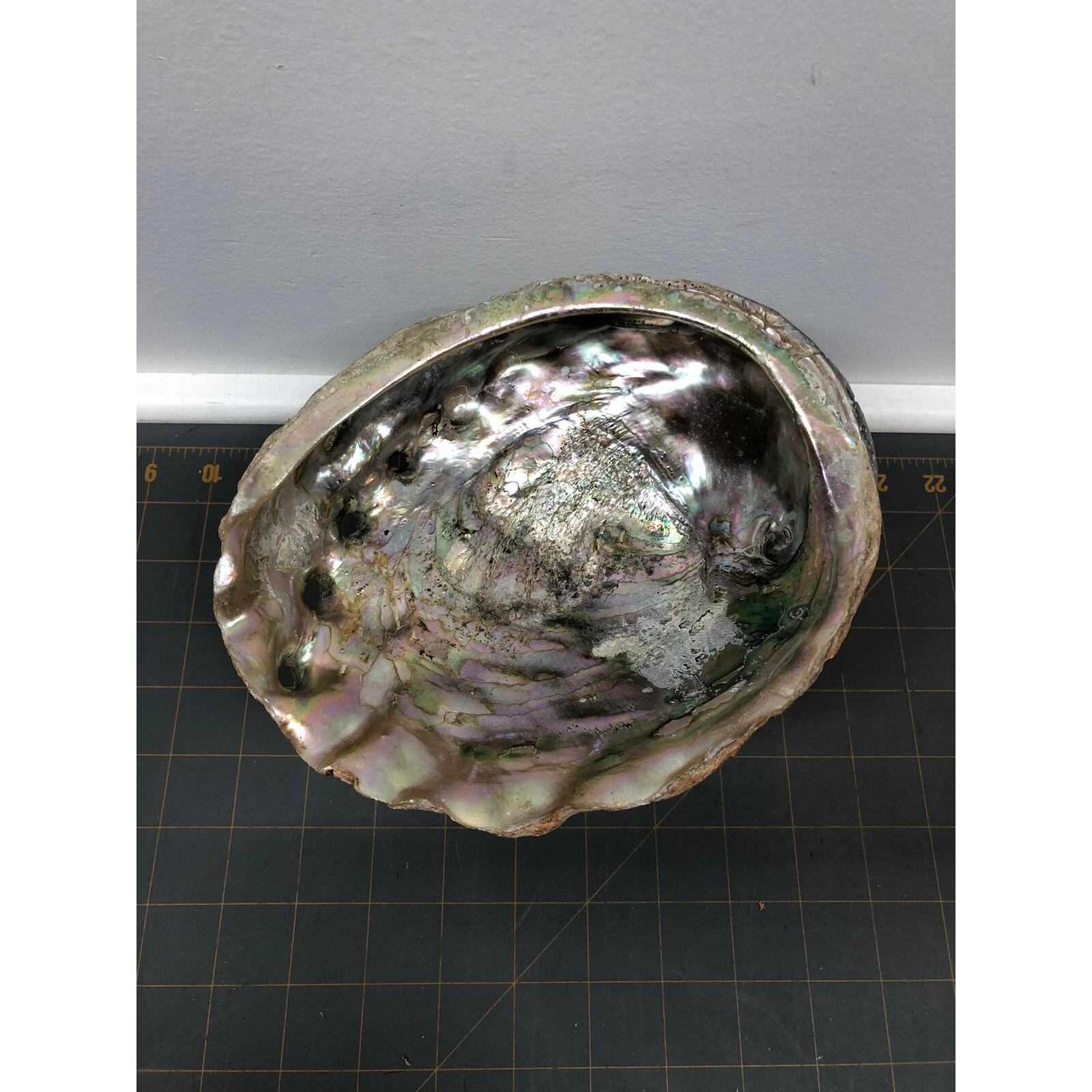 Vintage Large Natural Red Abalone Shell Beach Decor, Dish 8\