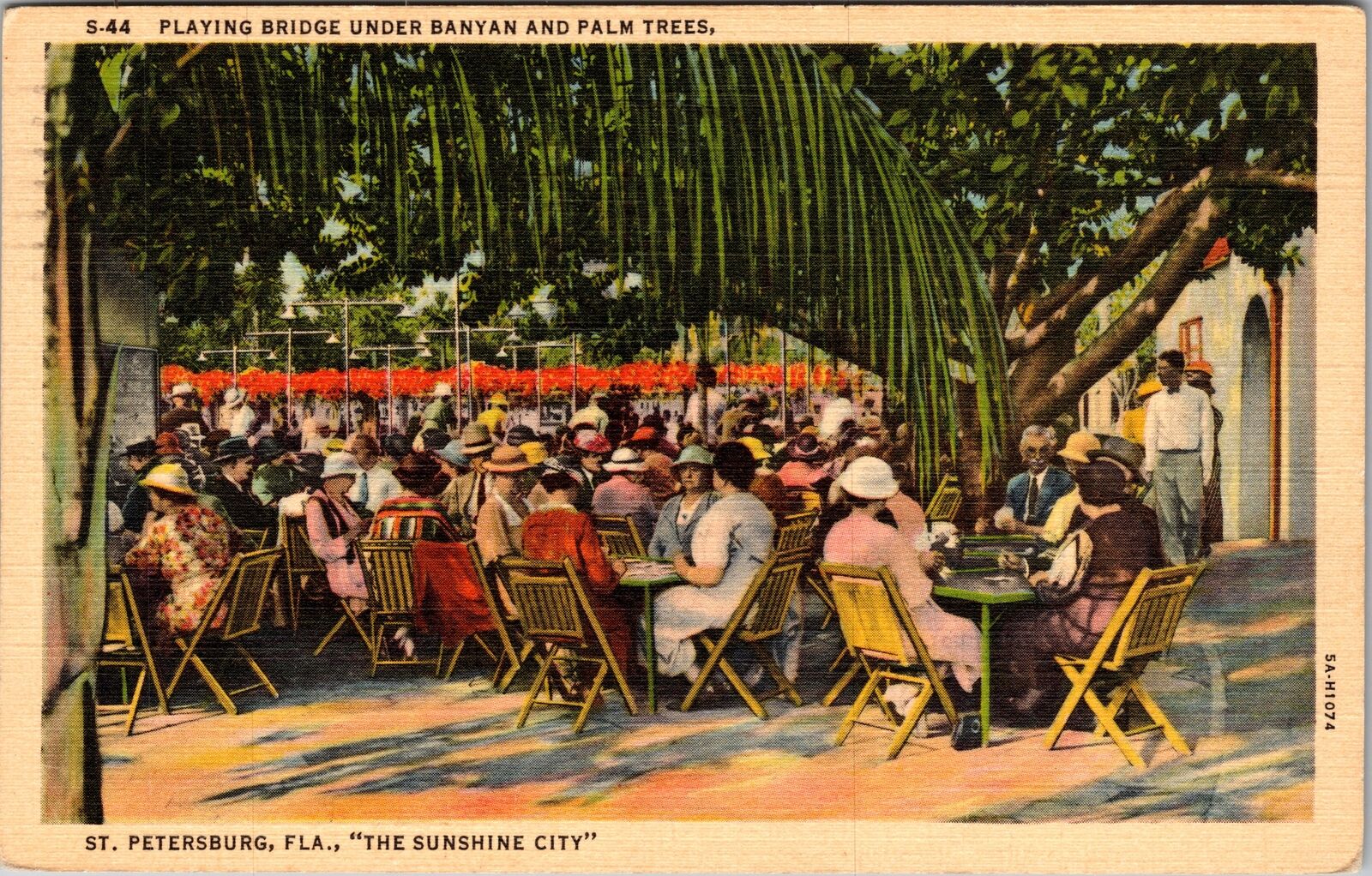 St Petersburg FL-Florida, Playing Bridge Under Palm, Vintage Postcard