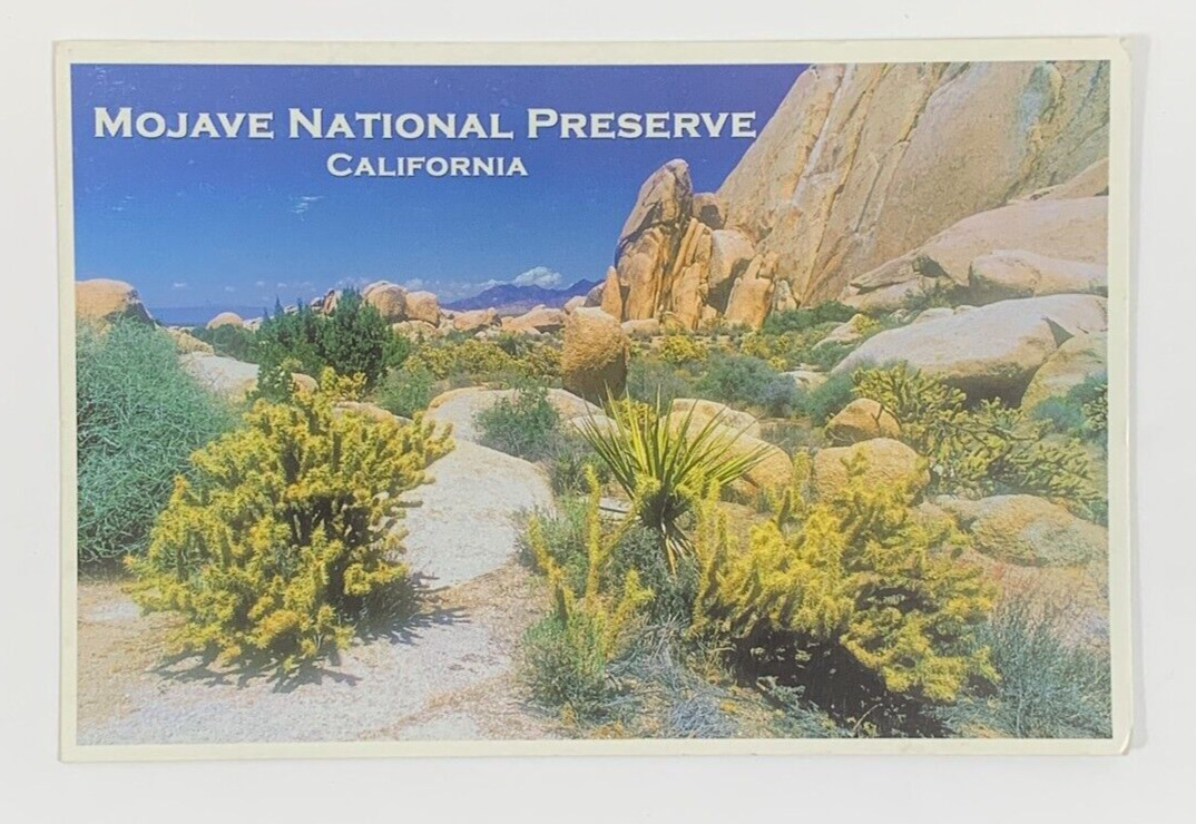 Mojave National Preserve Baker Amboy California Postcard 2004 Unposted